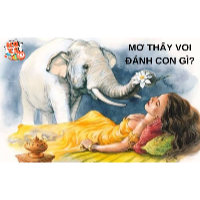 Bật mí ý nghĩa giấc mơ thấy voi và các con số may mắn nhất