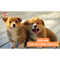 Giấc mơ thấy chó con có thể hé lộ điềm báo gì sắp xảy ra?