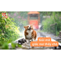 Giấc mơ thấy chó: Dấu hiệu may mắn hay rắc rối tiềm ẩn?