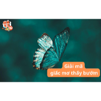 Mơ thấy bướm bay vào giấc ngủ: Điềm lành hay cảnh báo?