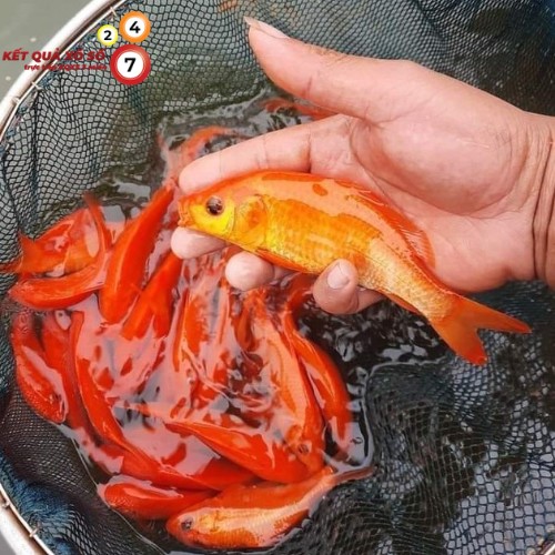 Đi đúng hướng, được công nhận