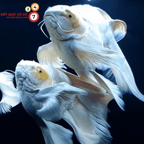 Buông bỏ tiêu cực, đón nhận điều mới