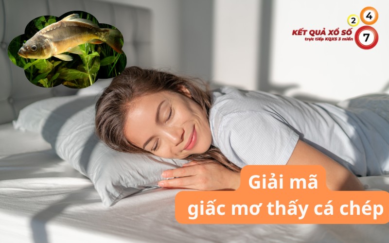 Mơ thấy cá chép báo điềm gì? Khám phá ngay con số tài lộc