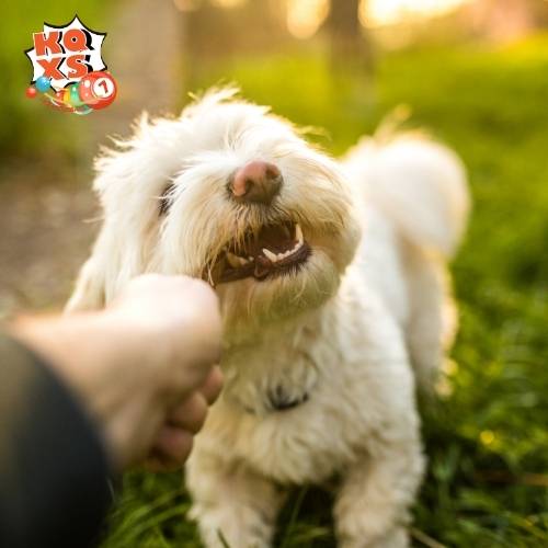 Tín hiệu cảnh báo về những thay đổi sắp tới trong cuộc sống!