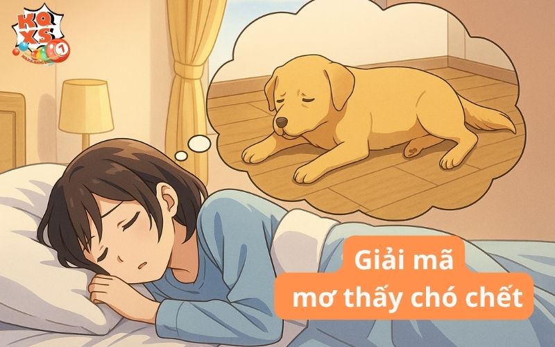 Giải mã 9 giấc mơ thấy chó chết và gợi ý con số tài lộc