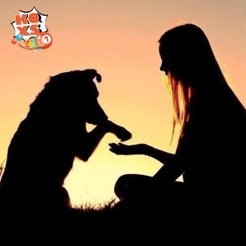 Mơ thấy chó đen đã mất quấn quýt