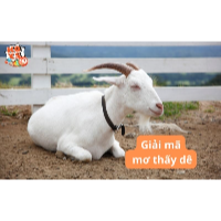 Mơ thấy dê có ý nghĩa, điềm báo gì? Số may mắn bao nhiêu?