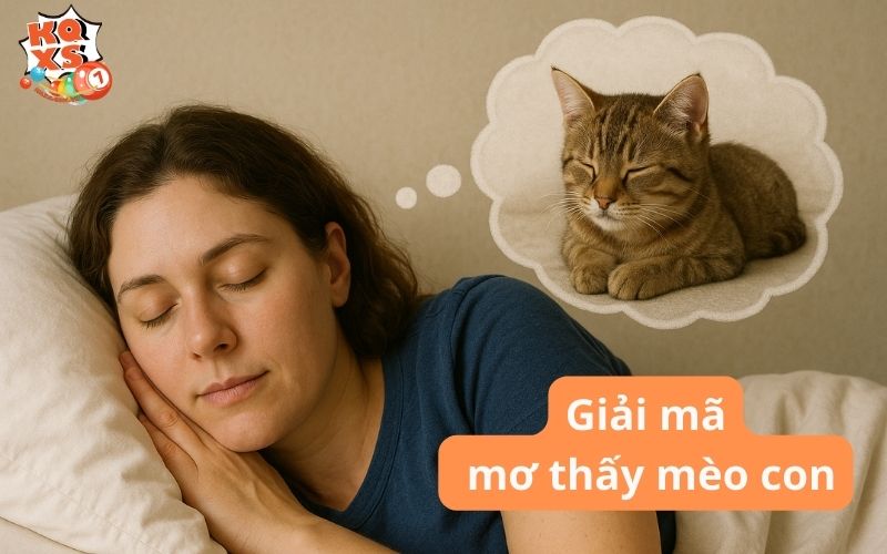 Ý nghĩa giấc mơ thấy mèo con và những con số may mắn liên quan