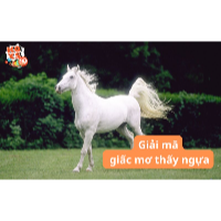 Mơ thấy ngựa là điềm báo gì? Gợi ý các con số may mắn nhất