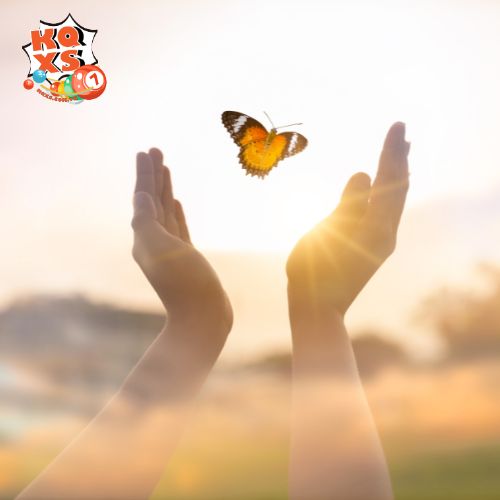 Mơ thấy mình giết bướm