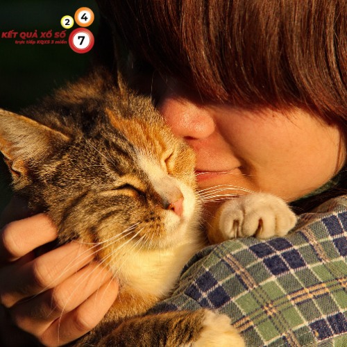 Cuộc sống ấm áp, đầy kết nối hơn