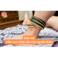 Nằm mơ thấy rắn cắn người thân là điềm gì? Giải mã chi tiết