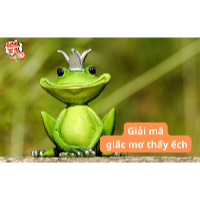 Ngủ mơ thấy ếch là điềm báo gì? May mắn hay điềm xấu đang chờ?